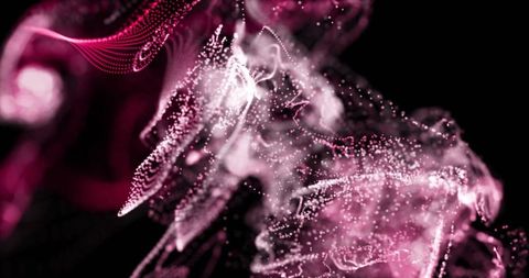 Magenta Particle Stream Swirling Into Glowing Ribbon of Neon Dots and Filament Motion