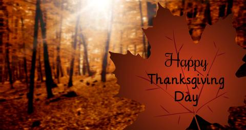 Happy Thanksgiving Day Written on Maple Leaf with Autumn Forest Background - Download Free Stock Images Pikwizard.com