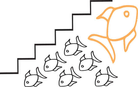 fish outline pattern with bold contrast on transparent background - Download Free Stock Videos Pikwizard.com
