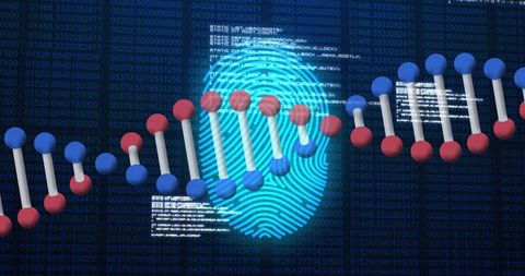 concept of intersection between dna sequencing and fingerprint biometric technology for advanced security measures and digital identification. ideal for use in cybersecurity content, biotechnology contextual presentations, or illustrating modern it and genetic research advancements. fits educational materials or promotional content for tech companies specializing in security solutions.