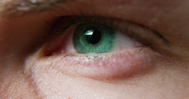 Close-up of man's eye