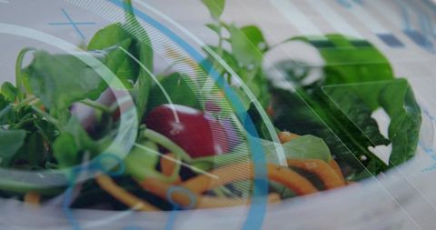 Fresh mixed salad displaying augmented reality nutrition overlay for healthy eating