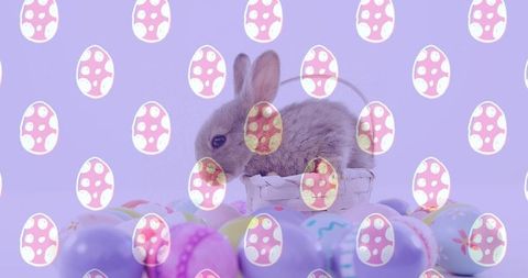 Fluffy brown bunny sitting in woven basket nestling among pastel easter eggs with pink overlay