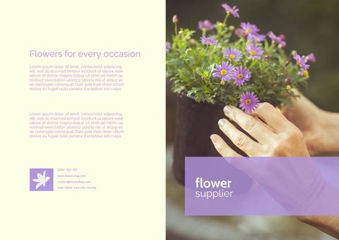hand tenderly nurturing pots of vibrant blooms promoting floristry - Download Free Stock Templates Pikwizard.com