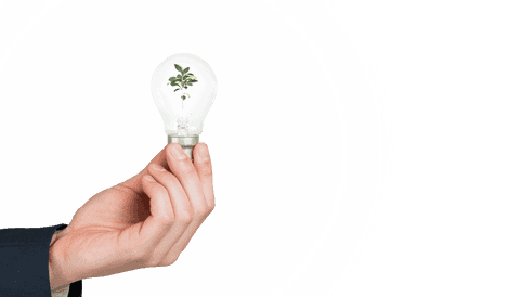 Hand Holding Transparent Light Bulb with Growing Plant