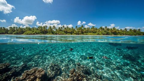 Tropical lagoon with coral reef and vibrant fish split view