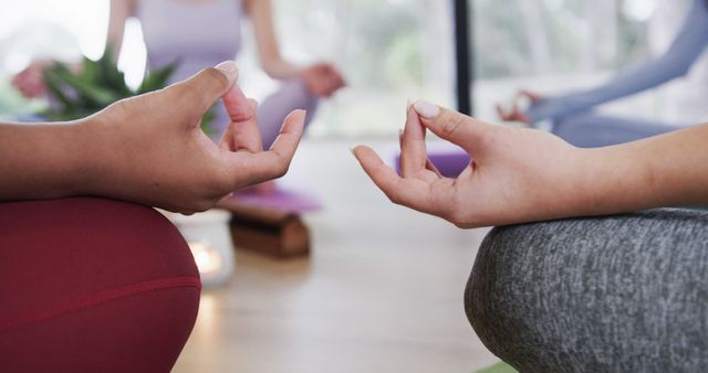 Close-Up of People Meditating in Yoga Class with Focus on Hands in Lotus Position - Download Free Stock Images Pikwizard.com