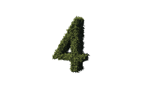 transparent number 4 with grass vector design - Download Free Stock Videos Pikwizard.com