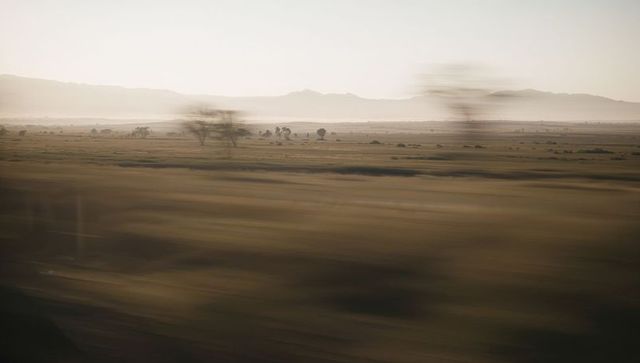 Passing motion blur across dry steppe revealing streaking grasses, distant trees, hazy mountains