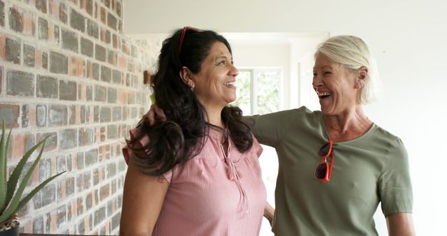 Happy diverse senior women entering home and embracing in hall on sunny day. Friends, retirement, domestic life and senior lifestyle, friendship, unaltered.