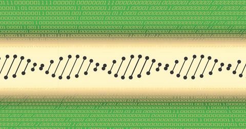 Integration of DNA Patterns with Binary Code - Download Free Stock Images Pikwizard.com