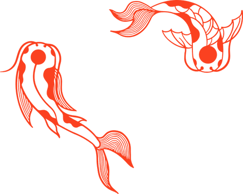 Transparent Line Art of Ornamental Fish in Circular Motion - Download Free Stock Videos Pikwizard.com