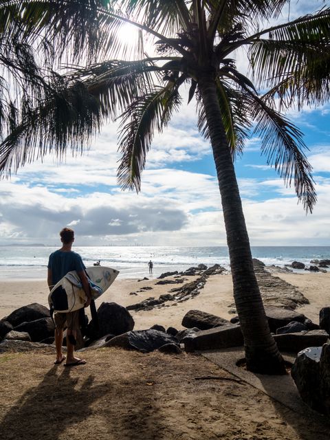 Surfer with Board Under Palm Tree on Tropical Beach - Download Free Stock Images Pikwizard.com