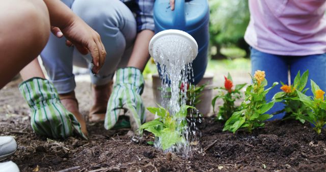 Gardening Enthusiasts Tending to Plants - Download Free Stock Images Pikwizard.com