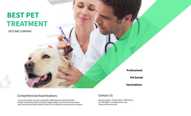 Vet Examining Happy Dog Promoting Pet Healthcare Services - Download Free Stock Templates Pikwizard.com