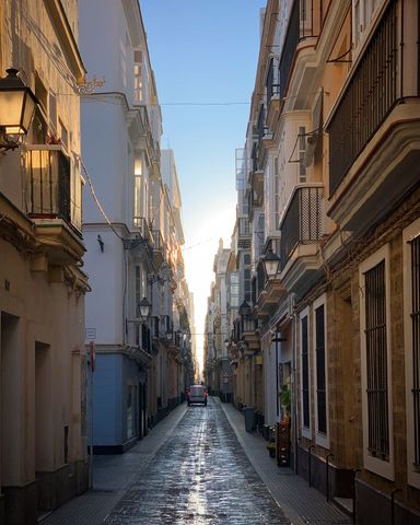 Sunlight Streaming Down Narrow European Street with Wet Cobblestones Reflecting Dawn