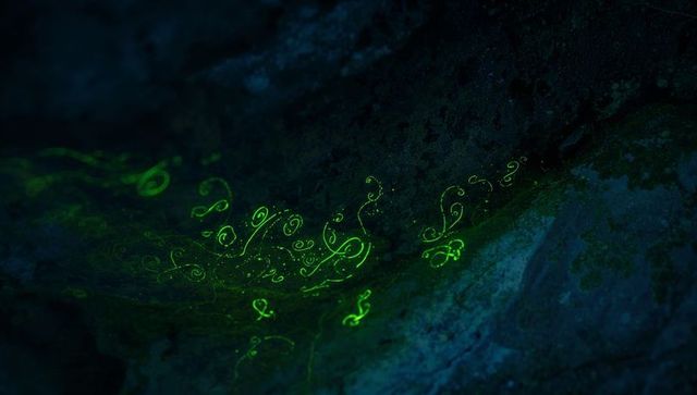 Enigmatic neon patterns illuminating cave walls