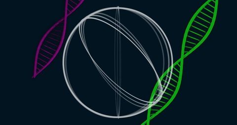 Futuristic wireframe sphere with dna helices in abstract digital art