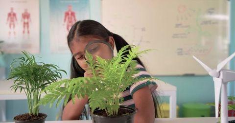 African american teen girl examining fern with magnifying glass in science classroom