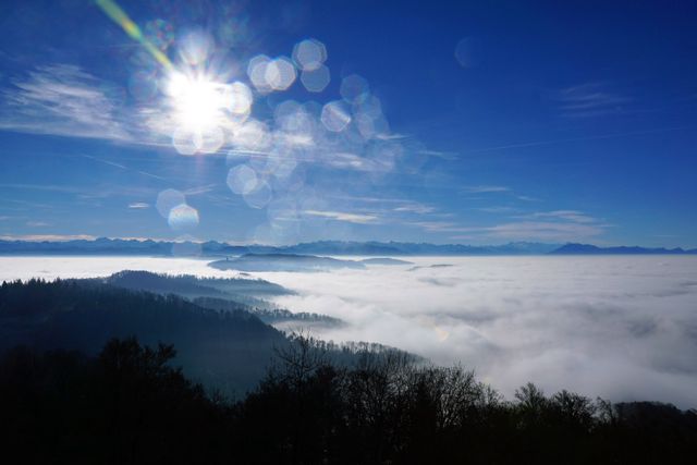 Sunlight filtering through lens flares illuminating fog-filled mountain valley with dense forest. Capturing nature's beauty and tranquility. Ideal for use in travel guides, serene wallpapers, promotional materials, storytelling backdrops, mindfulness and meditation content.