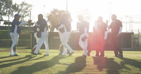 Baseball Players Shaking Hands on Sunny Field