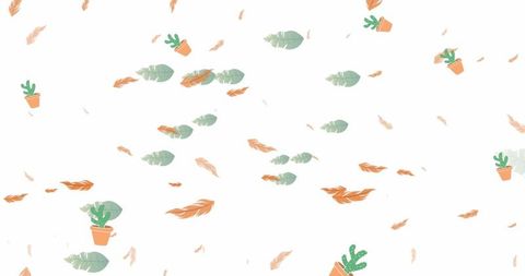 Tropical pattern with cacti, leaves and feathers on white background