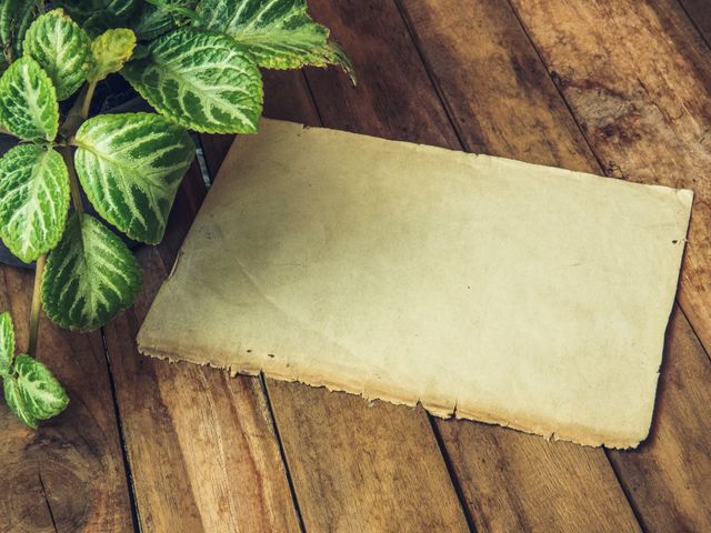Vintage paper sheet lying on a rustic wooden table adjacent to fresh green leaves from a plant, evoking a nostalgic ambiance. Suitable for themes related to nature, antiquity, and stationery. Ideal for presentations, web design, backgrounds, and historical documentation concepts.