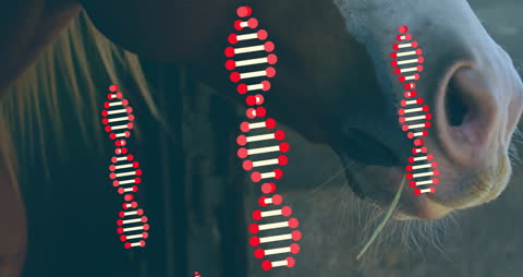 Digital DNA Analysis Overlay on Horse Conceptual Poster