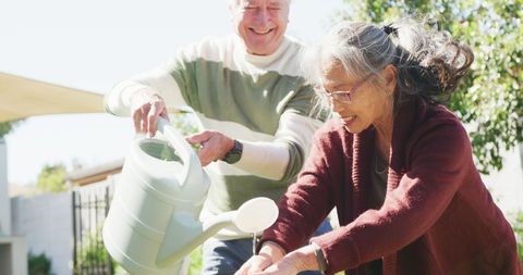 Joyful Senior Couple Gardening Together in Sunny Backyard
