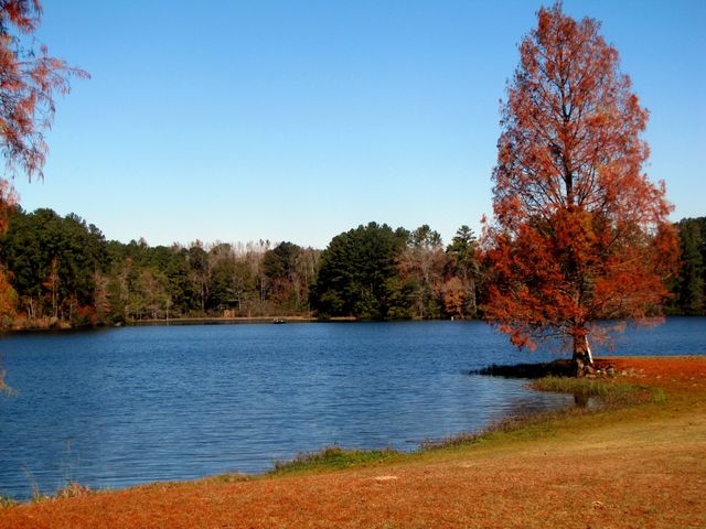 Tranquil Autumn Lake Scene with Vibrant Foliage - Download Free Stock Photos Pikwizard.com