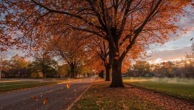 Autumn avenue lined with orange trees bathing in sunrise mist, drifting leaves