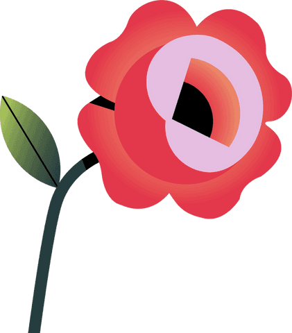 vector red flower with layered petals on transparent background - Download Free Stock Videos Pikwizard.com
