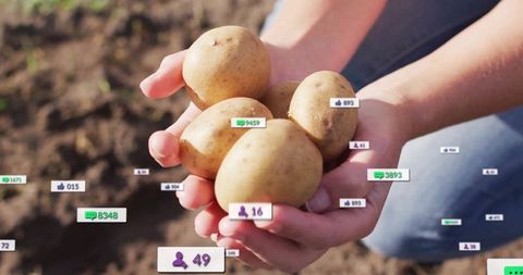 Gardener Presenting Organic Potatoes with Social Engagement Icons