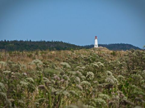 Lighthouse on Rocky Hill with Wild Grass and Clear Sky