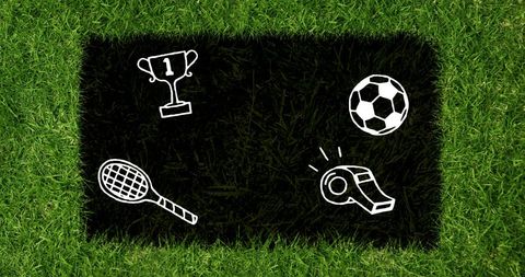 Illustrated Sports Icons on Grass Background