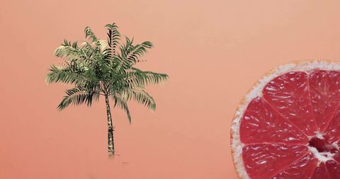 Grapefruit half and palm tree on pastel coral background