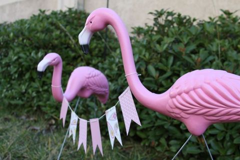 Playful Pink Flamingos with Bunting Decoration Outdoors