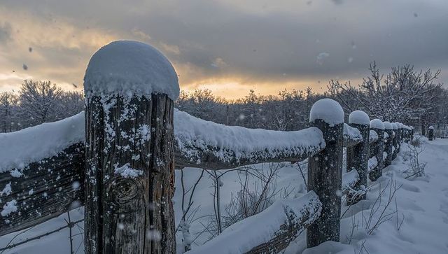 Snow-capped rustic wooden fence leading across serene winter field at sunrise