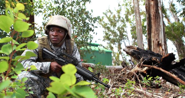 African American Soldier Training Outdoors with Rifle in Forest Environment - Download Free Stock Images Pikwizard.com