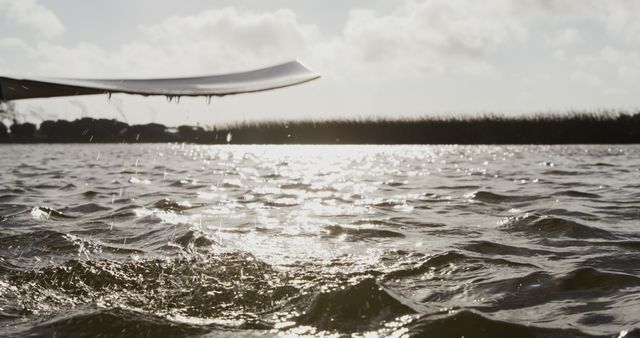 Serene Lake Waters with Ripples and Overhanging Leaf - Download Free Stock Images Pikwizard.com