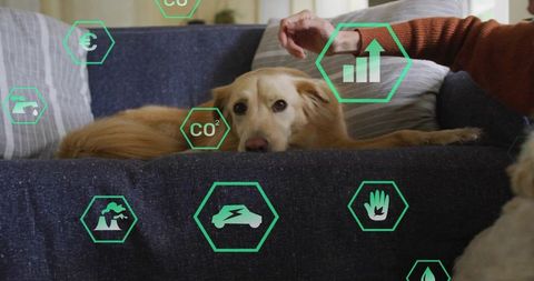 Eco-friendly Modern Living with Dogs and Sustainability Tech