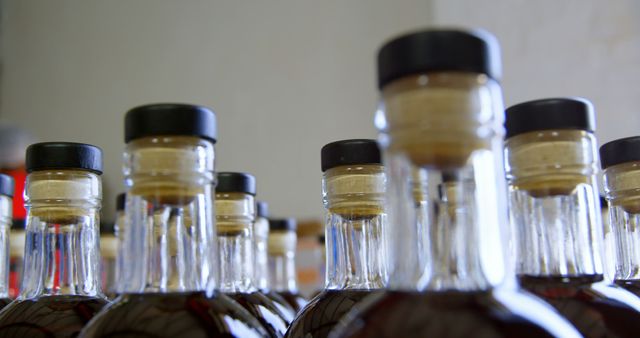 Close-up of liquor bottles arranged in factory 4k