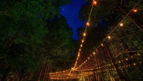 String lights illuminating forest corridor under starry night sky with hanging globe bulbs
