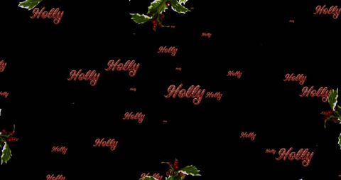 Festive holly repeated text with wreaths on black background