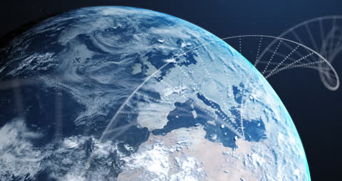 Global Connectivity Animation with Digital Data Visuals