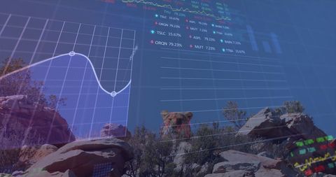 Stock Market Data Overlay with Mountain Lion in Desert