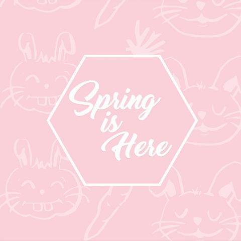 spring is here text on transparent pink rabbit background - Download Free Stock Videos Pikwizard.com