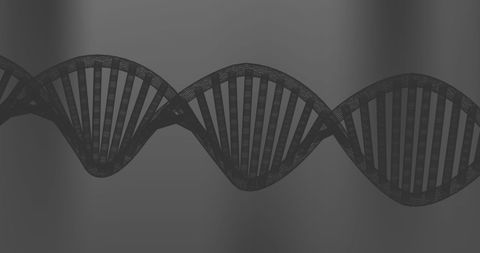 Black dna strand illustration symbolizing genetic science