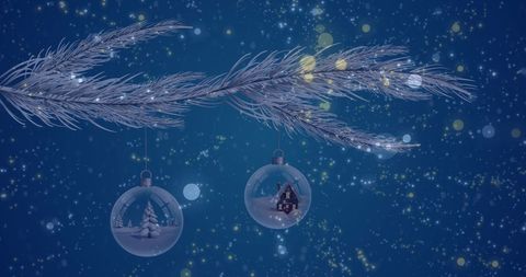 Festive christmas baubles hanging on fir branch