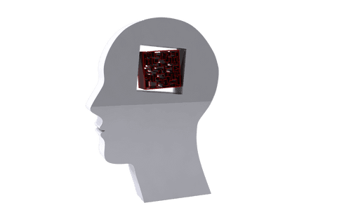 Transparent head illustration with red maze insides